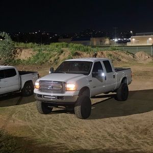 Meet your Posher, Gavin